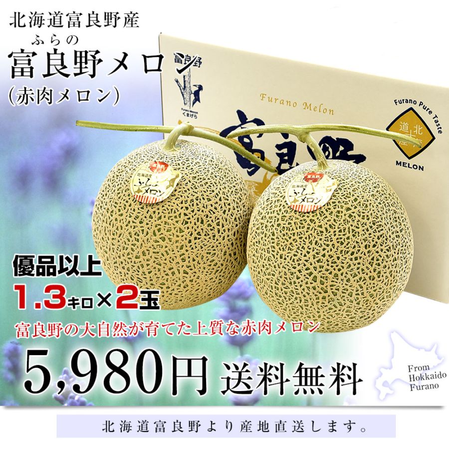 北海道より産地直送 富良野メロン (赤肉) 2玉入り化粧箱 (1.3