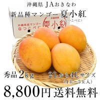 沖縄県より産地直送 JAおきなわ 新品種マンゴー 夏小紅(なつこべに)2L