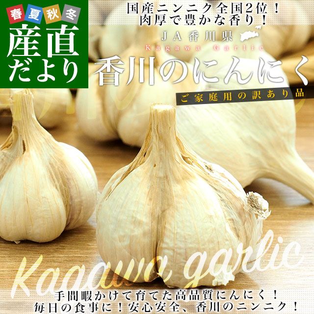 ������黺��ľ�� JA��� �˥�˥� �������� ��2���� (�ܰ¤Ȥ���50������) ����̵�� ����ˤ�ˤ� ���� �� ���� ���̤�