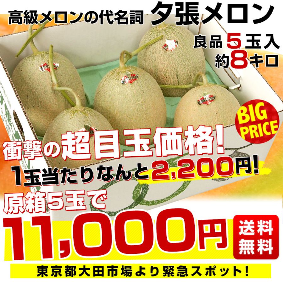 かずクール便 秀品 北海道 「夕張IKメロン」 5玉 8キロ 秀品 北海道 「夕張IKメロン」 5玉 8キロ 北海道 「夕張IKメロン