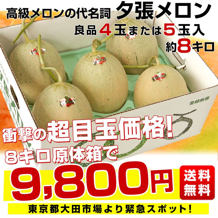 北海道産 JA夕張市 夕張メロン 良品 約8キロ （4玉又は5玉入） 送料
