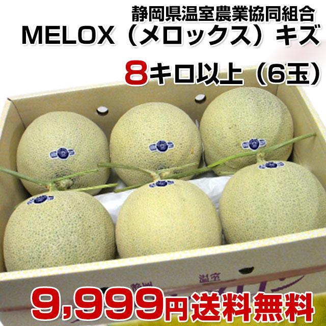 静岡 高級アールスメロン 山5玉 隔離栽培 アローマ マスクメロン 静岡