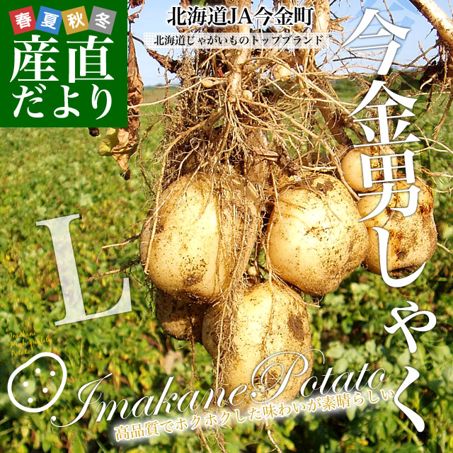 激安！　早い者勝ち　じゃがいも　63 楽天市場】静岡県産 JAとぴあ浜松 三方原馬鈴薯（男爵） Mサイズ