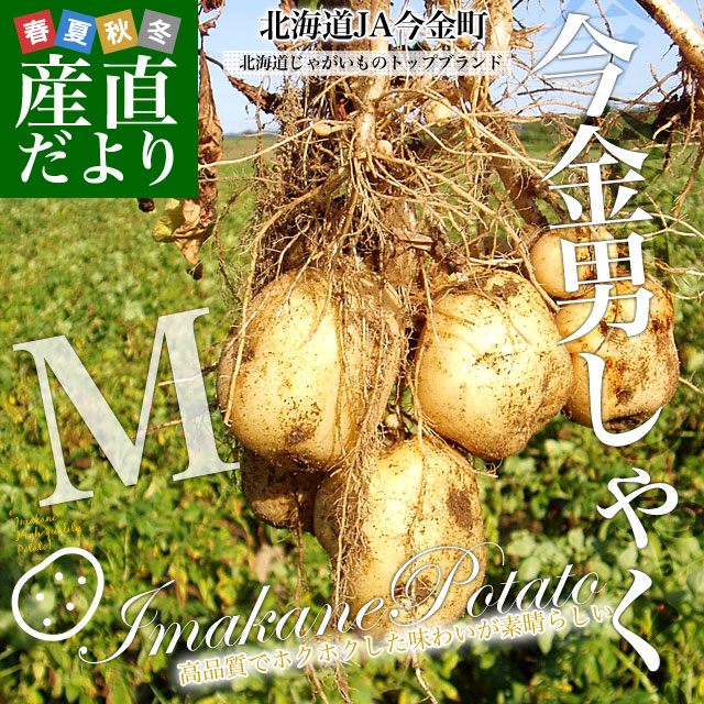 �̳�ƻ�� JA����Į ���㤬���� �����˼� M������ ��10����(110����������)������̵�� ����� ���㥬���� �� �˼߰�