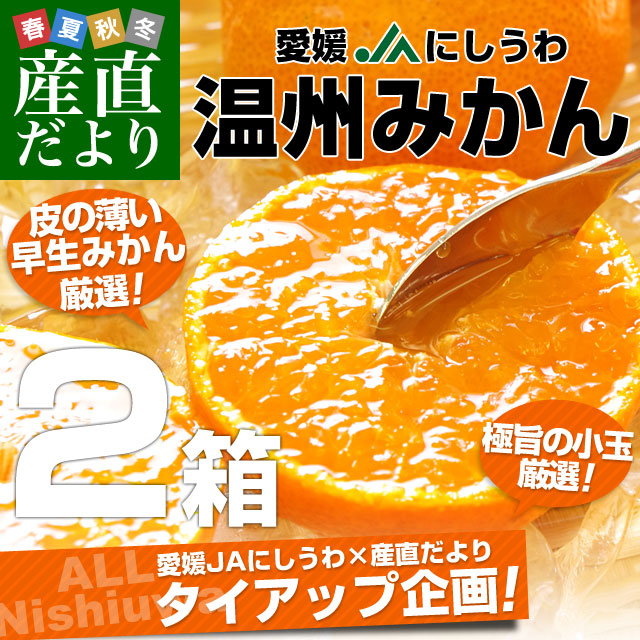 愛媛県より産地直送 JAにしうわ 西宇和温州みかん 極旨小玉 3キロ×2箱