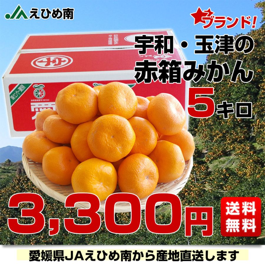 愛媛県より産地直送 JAえひめ南 玉津共選場 玉津の赤箱みかん 大玉 2L
