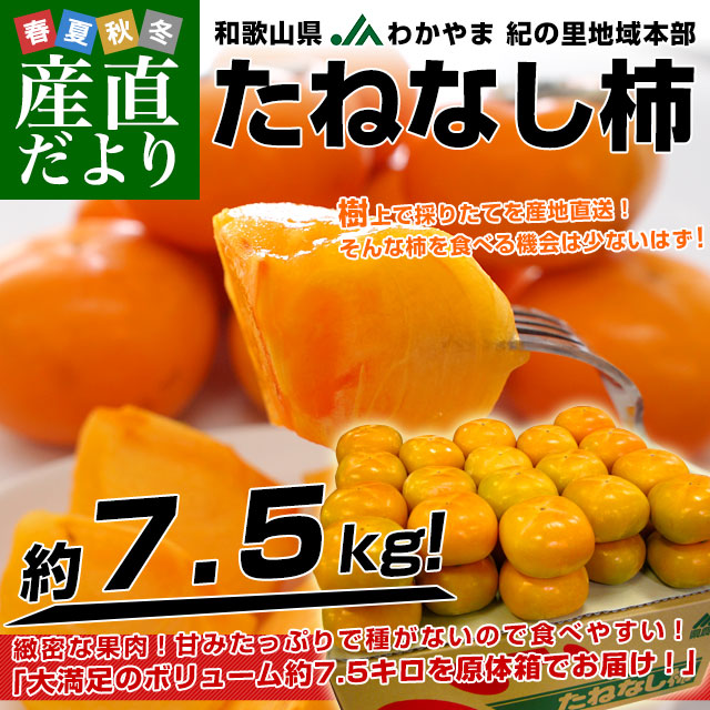 和歌山県より産地直送 JAわかやま 紀の里地域本部 たねなし柿 2LからL