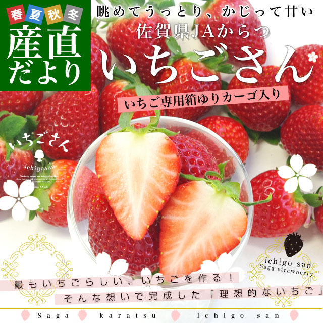 ���츩��껺��ľ�� JA����� ���ʼ襤���� ���������� DX��450g 15γ����18γ ������Ȣ��ꥫ�������� ����̵������������ ���������� ���������� ����  from�彣