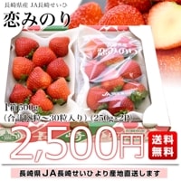 長崎県より産地直送 JA長崎せいひ 恋みのり 1箱約500g（250g×2パック