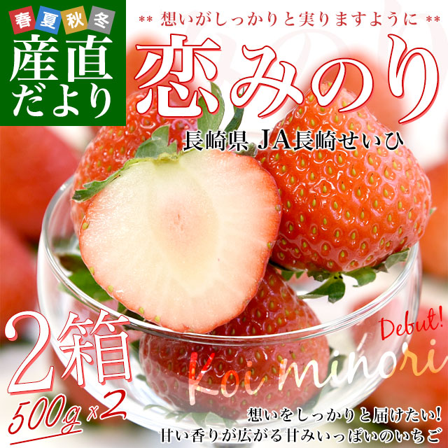 Ĺ�긩��껺��ľ�� JAĹ�ꤻ���� ���ߤΤ� 2Ȣ���åȡ���1000���500g��2Ȣ�ˡʹ��36γ����60γ����� ����̵�� �� ������ �����ߤΤ� from�彣