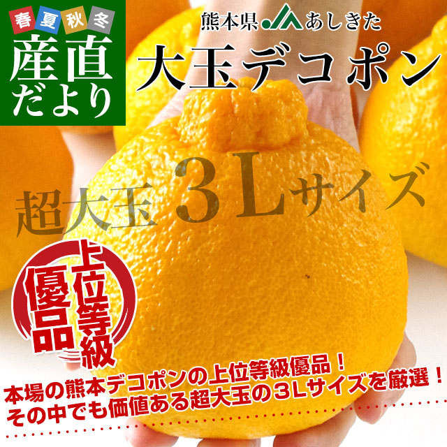 熊本県より産地直送 JAあしきた 大玉デコポン (優品) 3キロ (8玉から10