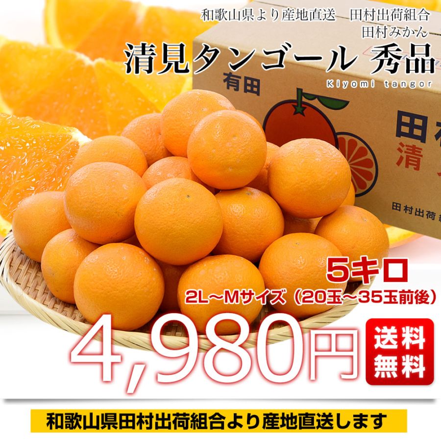 和歌山県より産地直送 田村出荷組合 清見タンゴール 秀品 2LからM