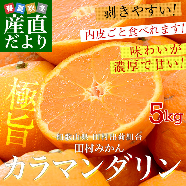 �²λ�����껺��ľ�� ��¼�в��ȹ� ����ޥ����� �������� 2L����M������ 5������20�̤���35������� ��¼�ߤ��� ͭ�� ����