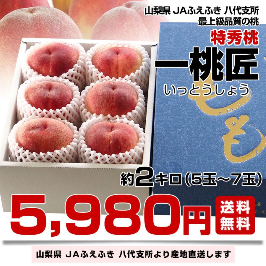 【159】太桃さん専用 文本酒造 桃太郎 純米大吟醸酒を販売-近藤印 高知酒店 | 近藤印高知酒店SS