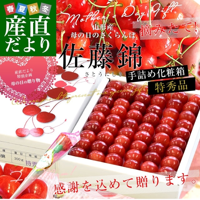 ���٤�Ƥ�����������ۡ���������ե� ��������껺��ľ�� �������ݤ������� ��ƣ�ӡ��ý��� 300g��ͤᲽ��Ȣ (40γ����54γ) ����̵�� ������ץ쥼��� ���� ���Ȥ��ˤ���