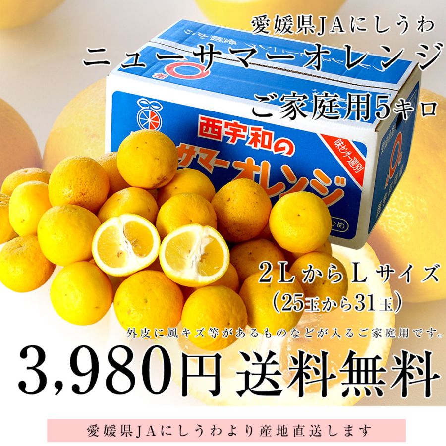 専用♥感謝価格♥みかん⭐軽ふわ楽ちん☆マイクロ×コットン♥宇宙…惑星柄⭐紺茶 ≪初回限定！ご自宅お試し価格≫完熟濃蜜みかん 約2kg（12～35玉／大小