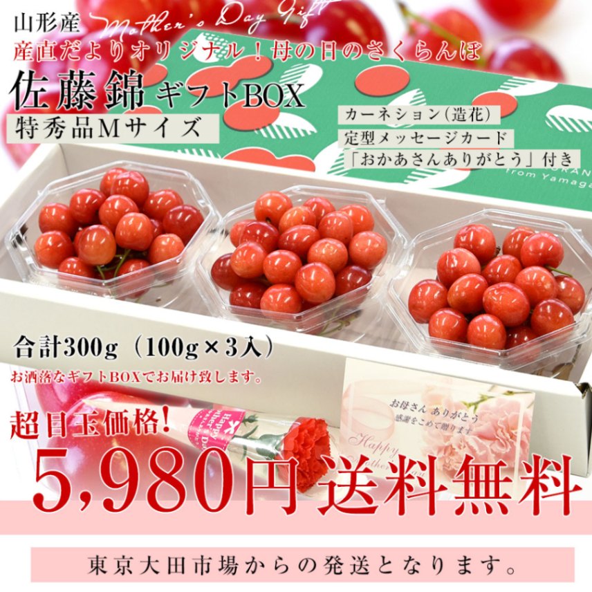 【 佐藤錦　特秀品 】500g　母の日プレゼントにオススメ！美味しいさくらんぼ 遅れてごめんね母の日】 母の日ギフト 山形県 温室栽培