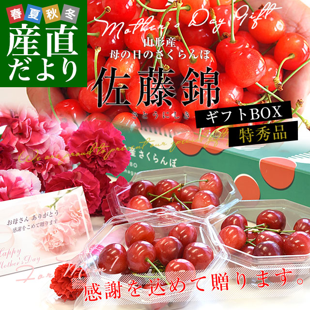 【 佐藤錦　特秀品 】500g　母の日プレゼントにオススメ！美味しいさくらんぼ 遅れてごめんね母の日】 母の日ギフト 山形県 温室栽培
