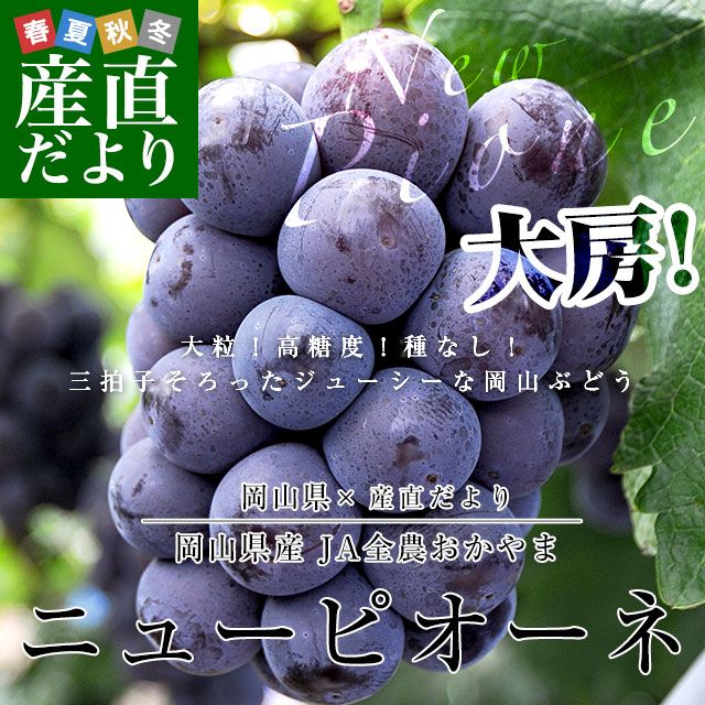 �������� �˥塼�ԥ����� �Ľ��ʰʾ� ��1.2����(600g��2˼)������̵�� �֥ɥ� ��ƺ ��ʤ��֤ɤ� �ԥ����� ���֤ɤ� ����������