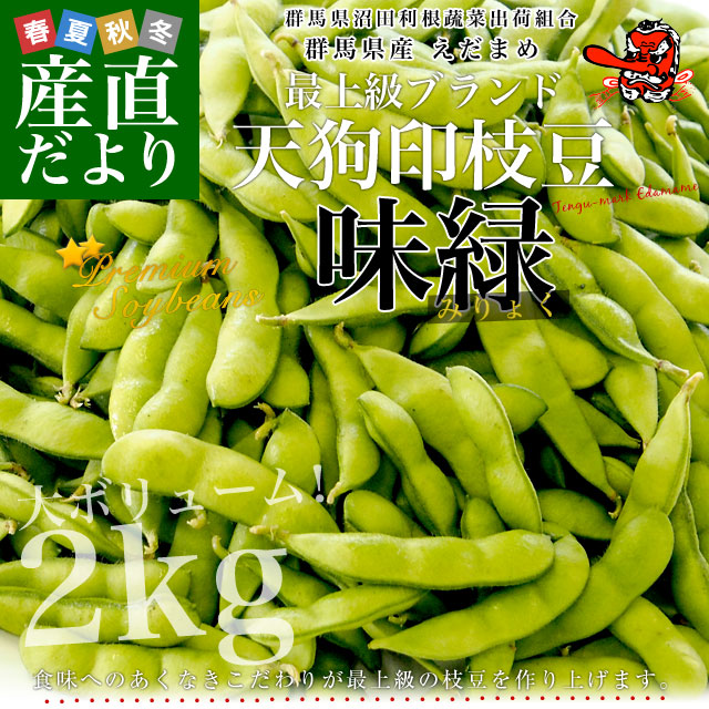 群馬県より産地直送 天狗印の枝豆 味緑（みりょく）約2キロ 群馬県沼田