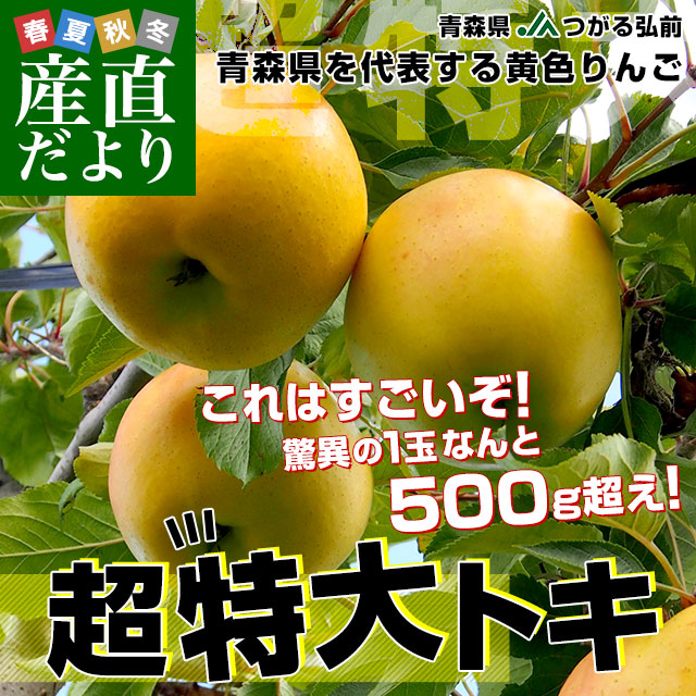 青森県より産地直送 JAつがる弘前 トキ 超大玉 5キロ (9玉から10玉