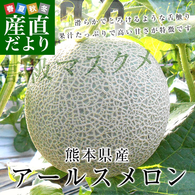 熊本県産 高級マスクメロン アールスメロン 合計3キロ 化粧箱(2玉入り) 送料無料 メロン JA熊本市 JA鹿本 JA熊本うき | 市場発送商品(販売終了) | | 産直だより 熊本県産 高級マスクメロン アールスメロン 合計3キロ 化粧箱(2玉入り) 送料無料 メロン JA熊本市 JA鹿本 JA熊本うき | 市場発送商品(販売終了) | | 産直だより