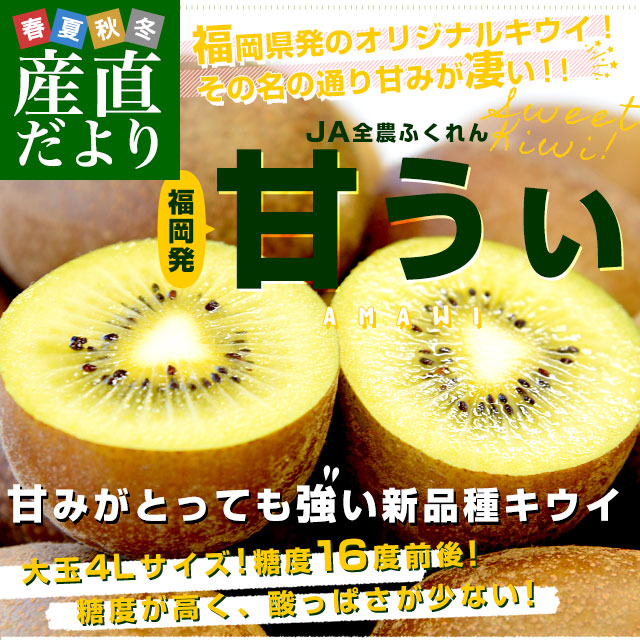 福岡県から産地直送 JA全農ふくれん 福岡オリジナルキウイ 甘うぃ