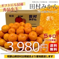 あき☆和歌山県産　田村みかん　小玉サイズ　約5kg　秀品  3箱 あき☆和歌山県産 田村みかん 小玉サイズ 約5kg 秀品 3箱 楽天