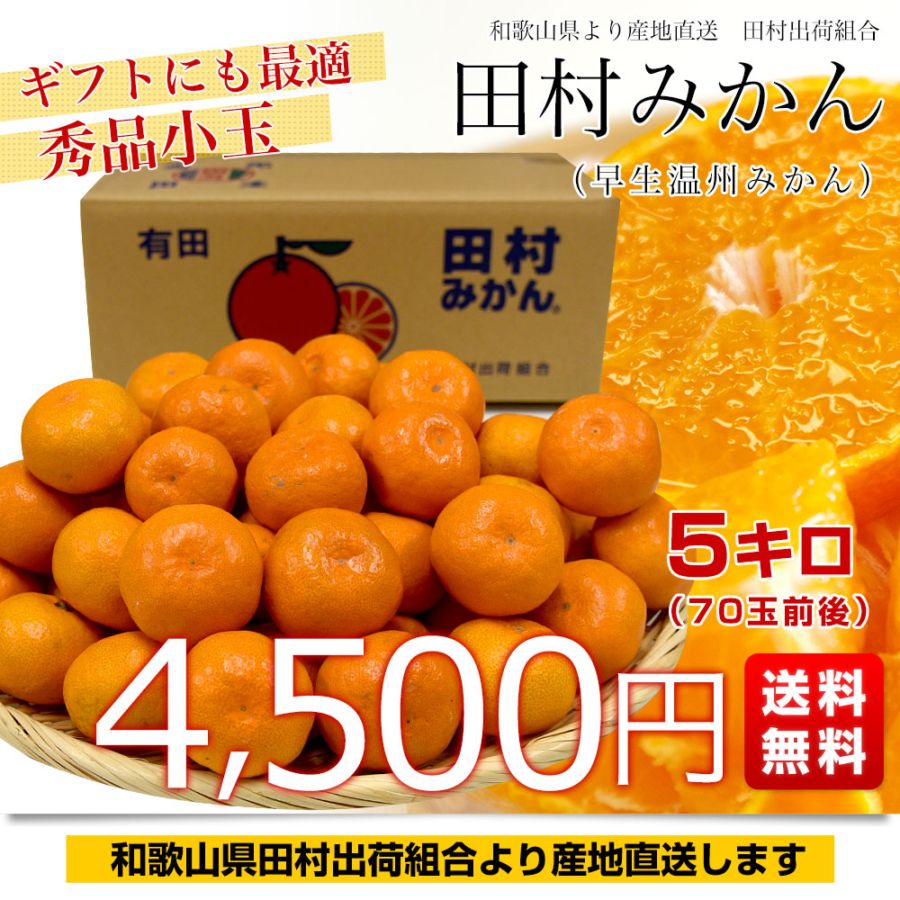 特選品田村みかん　ゆら早生2s　5000g 和歌山県より産地直送 田村出荷組合 田村みかん（早生温州みかん） 秀