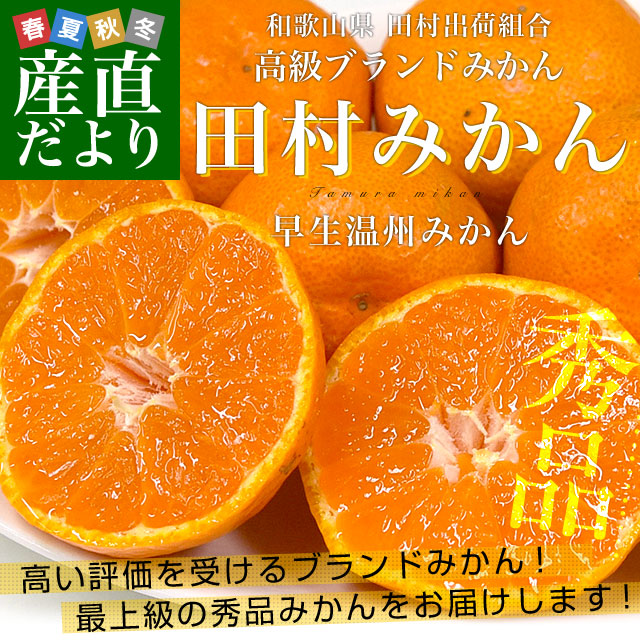 和歌山県より産地直送 田村出荷組合 田村みかん（早生温州みかん） 秀