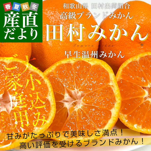 �²λ�����껺��ľ�� ��¼�в��ȹ� ��¼�ߤ�������������ߤ���� ��������5�������羮���ߡ� ����̵�� ͭ�� ����