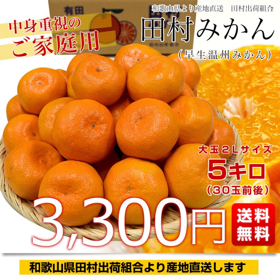 和歌山県より産地直送 田村出荷組合 田村みかん（早生温州みかん） ご