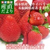 ͵2Ȣå (ڸ٥꡼540gʡޤ540g̵ ĻԾȯ