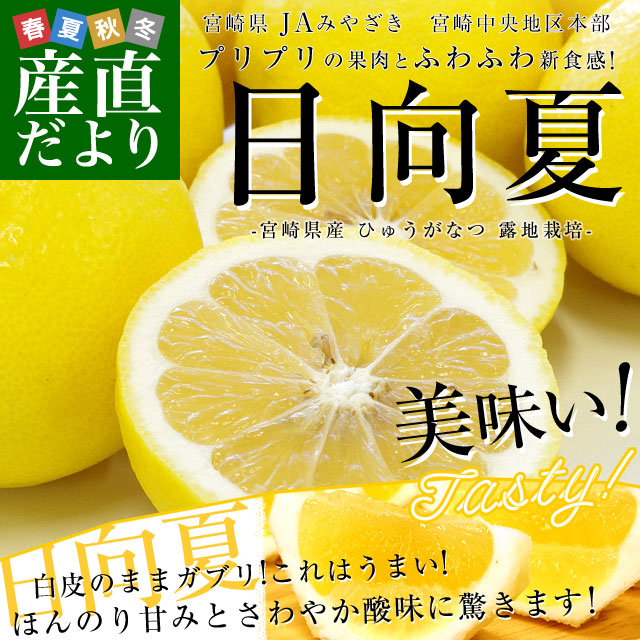 宮崎県より産地直送 JAみやざき 宮崎中央地区本部 日向夏 露地栽培 2.5