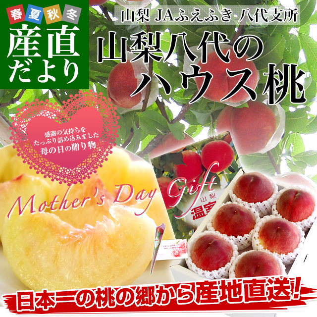 ��������ե� ��������껺��ľ�� JA�դ��դ�Ȭ��ٽ� Ȭ��Υϥ����� ��1������5�̤���6�̡�����̵�� ������˱ ��Ǽ����˱ ��� ū�� �������