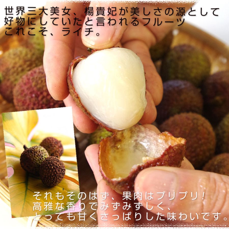 台湾から直輸入 高級 生ライチ 《玉荷包(ぎょっかほう)》 約800g(25玉