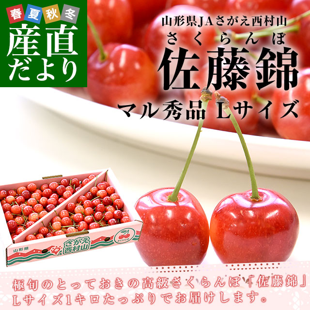 山形から産地直送 山形県JAさがえ西村山「さくらんぼ佐藤錦」 マル秀品
