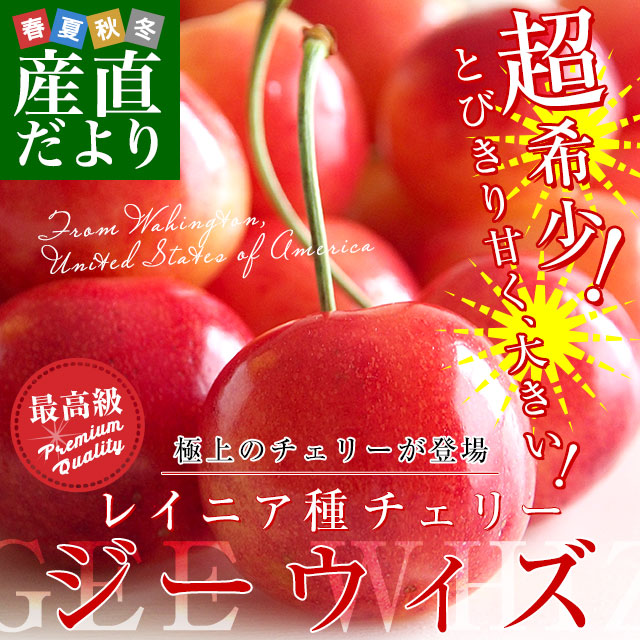 レイニアチェリー2.2kg爆大号高級贈答 アメリカワシントン州 レイニア種チェリー極上ブランド「ジーウィズ」1