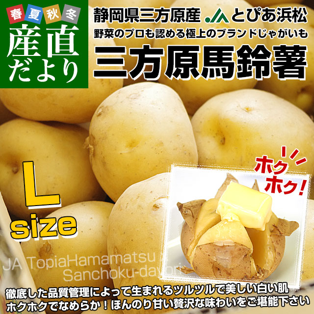 ジャガイモが作ったもの While cutting up seed potatoes, I counted to see which was
