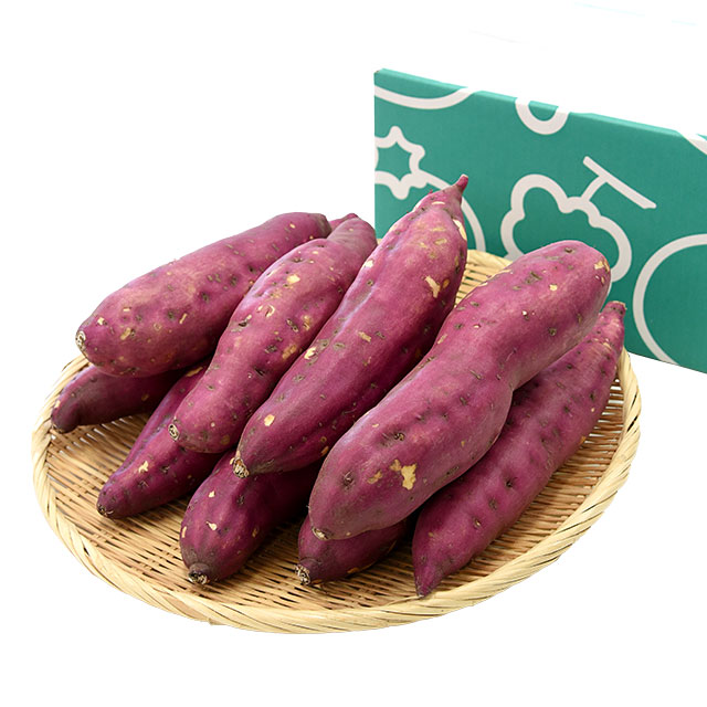 高知県産 JA高知県 土佐紅 A級品MからLサイズ2.5キロ 9本前後 送料無料