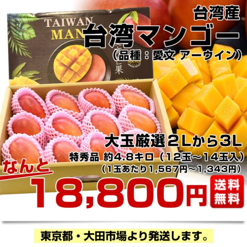 台湾産 台湾マンゴー（品種：愛文 アーウイン）大玉厳選2Lから3L特秀品