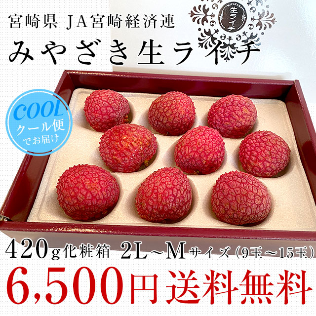 宮崎県産 JA宮崎経済連 みやざき生ライチ 420g化粧箱 2LからMサイズ（9