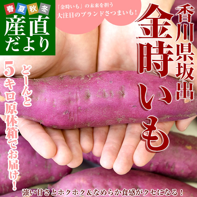 ����� JA��� ��ж������ ����L������5���� 18�����塡����̵�����������ǡ�����Ȥ������Ĥޤ��⡡���ĥޥ��⡡����򡡿���