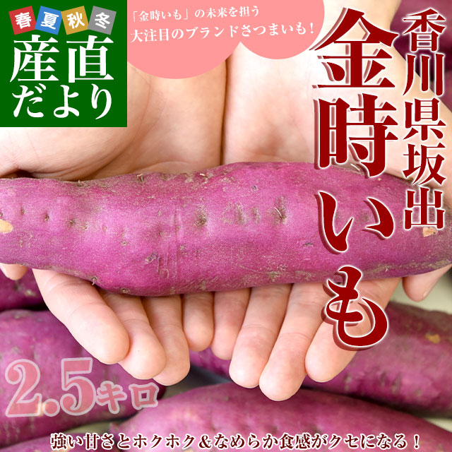 ����� JA��� ��ж������ ����L������2.5���� 9�����塡����̵�����������ǡ�����Ȥ������Ĥޤ��⡡���ĥޥ��⡡����򡡿���