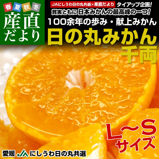 愛媛県産 JAにしうわ 日の丸みかん 千両 LからSサイズ 5キロ(40玉から