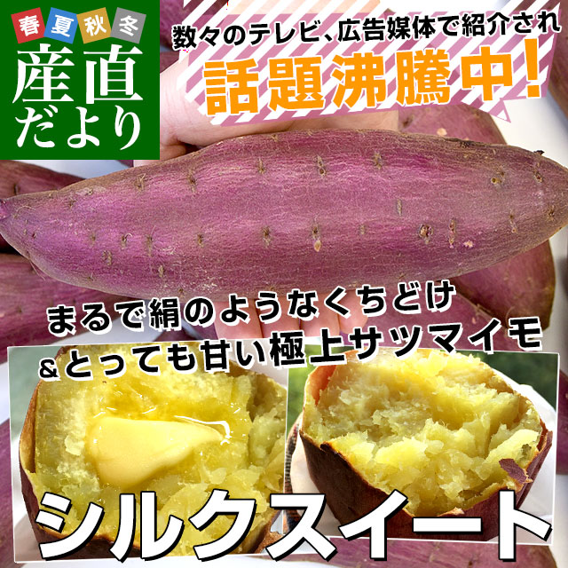 ララルルさん専用　千葉県産　シルクスイート　さつまいも　Mサイズ　約20.0㎏ ララルルさん専用 千葉県産 シルクスイート さつまいも Mサイズ