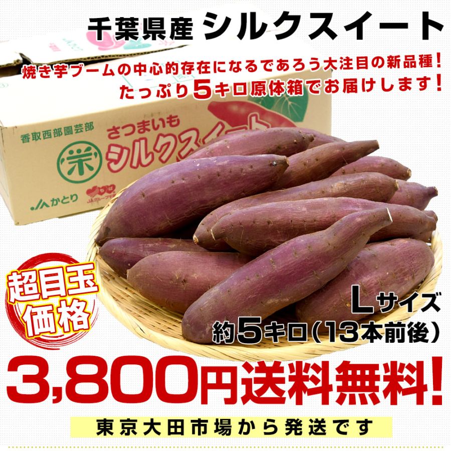 【サツマイモ】 楽天市場】【ふるさと納税】生芋 10kg S～Lサイズ混合 1箱 いも
