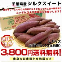 はらたか　茨城県産　超熟成シルクスイート　100キロ 楽天市場】シルクスイート 茨城の通販