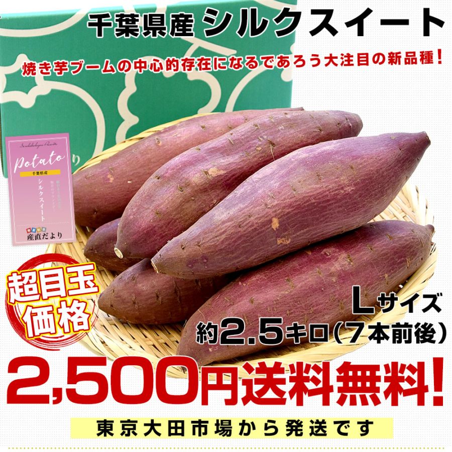 千葉県産 JAかとり シルクスイート Lサイズ2.5キロ 7本前後 送料無料