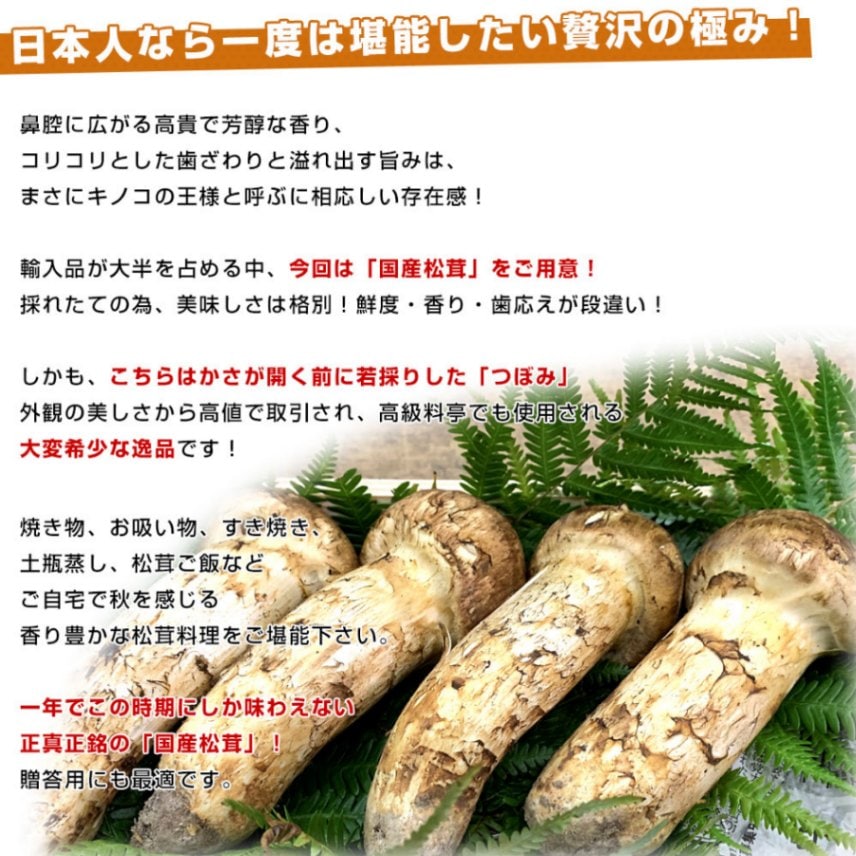 クール便対応 信州産 松茸 つぼみ 10/1午前収穫 130ｇ 4本入 クール便対応 信州産 松茸 つぼみ 10/1午前収穫 130g 4本入 楽天
